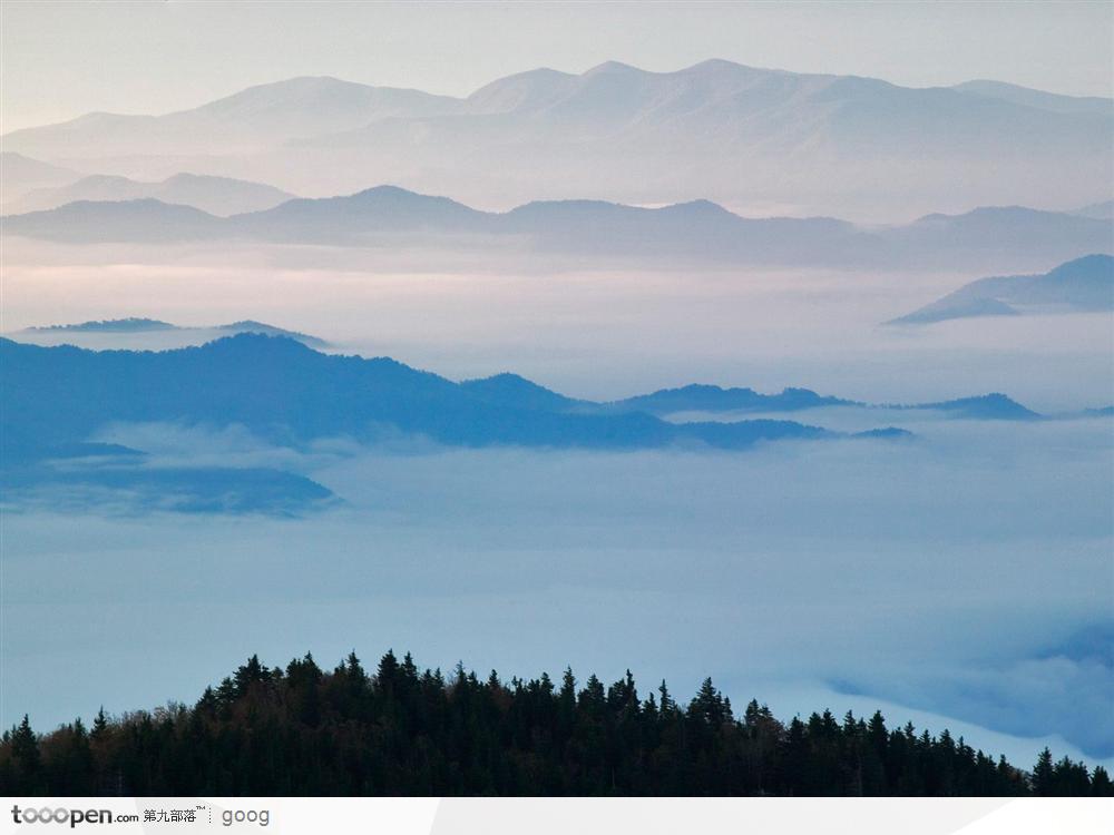 云雾中的山脉与树林