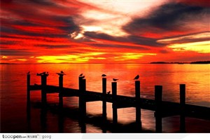 夕阳下的大海与桥和桥上的飞鸟
