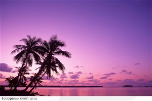 晚霞下的大海海岛和椰树