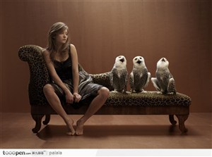 一个美女和三只猫头鹰坐在沙发上 高清图片