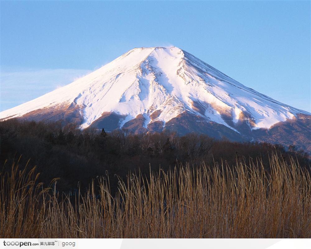 草地里遙望的雪山