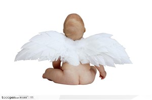 带翅膀的小天使背面