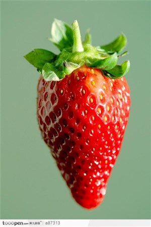 草莓一颗