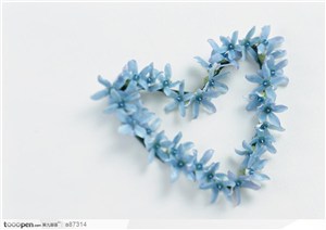 心形的蓝色花瓣