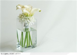 花瓶里插的鲜花