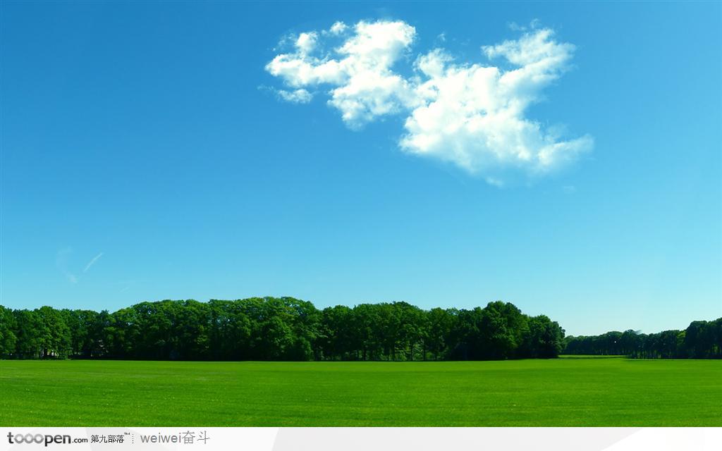 蓝天白云下的树林与绿地