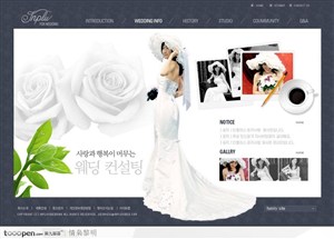 网页模板-紫色清新婚纱摄影网站首页
