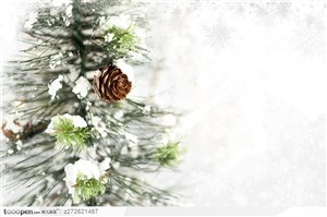 白色的雪花覆盖的圣诞树