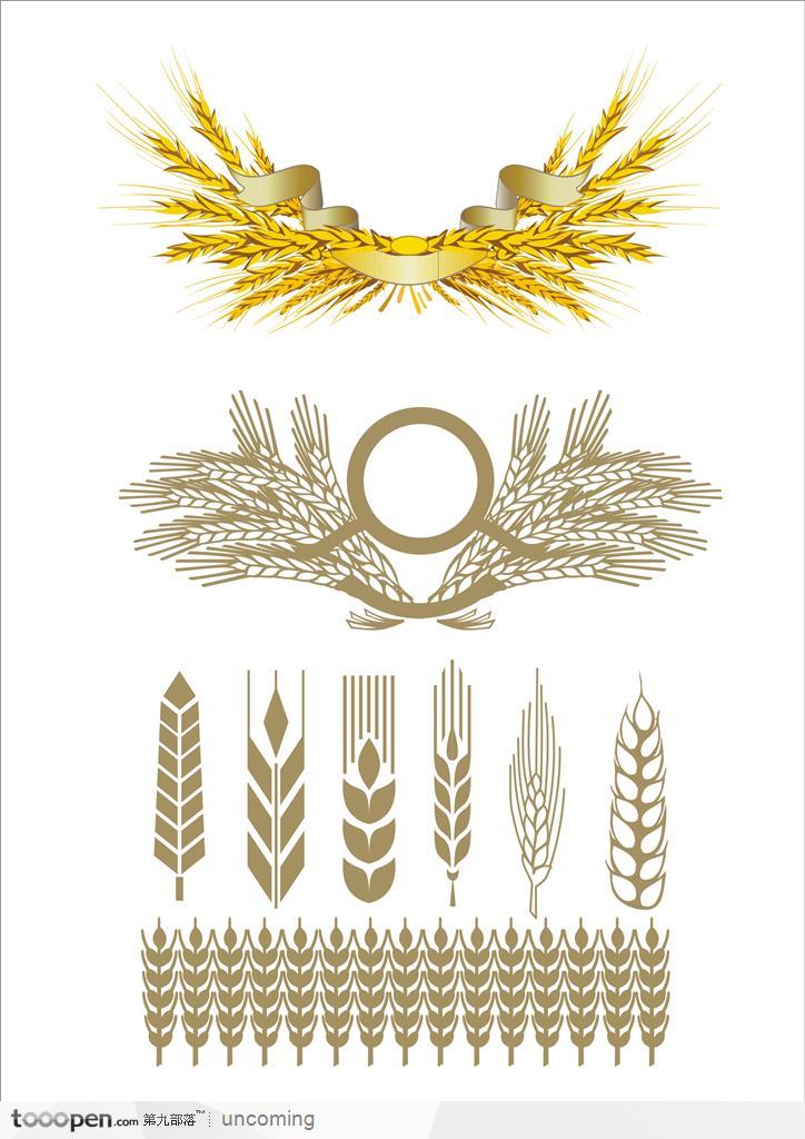 矢量的徽标装饰图案金色麦穗和稻子