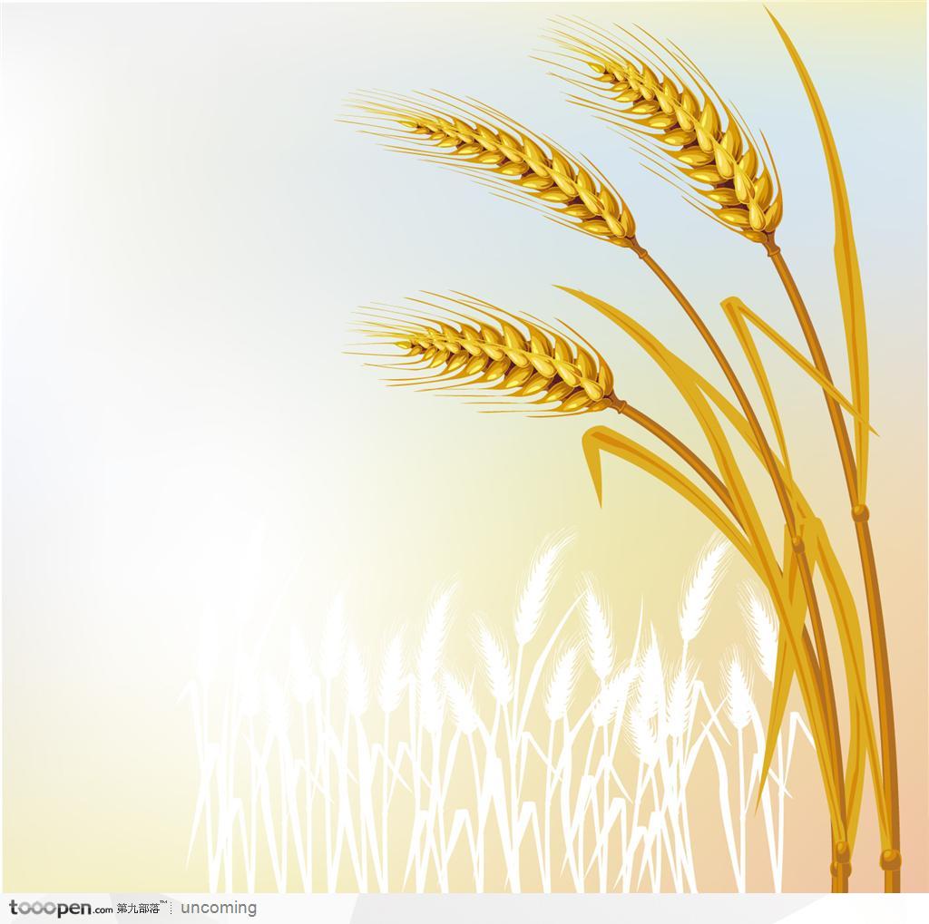 一束矢量的徽标装饰图案金色麦穗和稻子