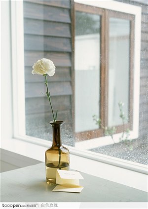 窗台上的茶色花瓶和白色康乃馨