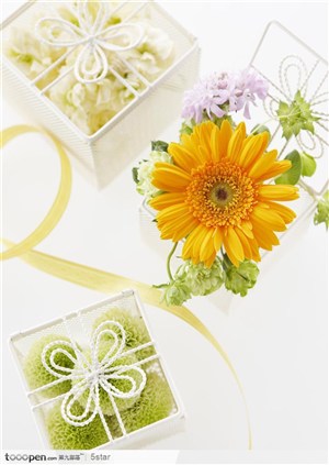 黄色菊花和礼盒