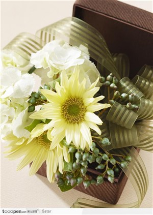 礼盒子里的黄色菊花和丝带
