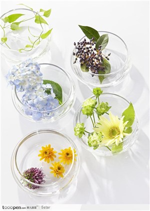 玻璃瓶里的各种鲜花