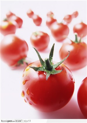 蔬菜瓜果-鲜红的西红柿