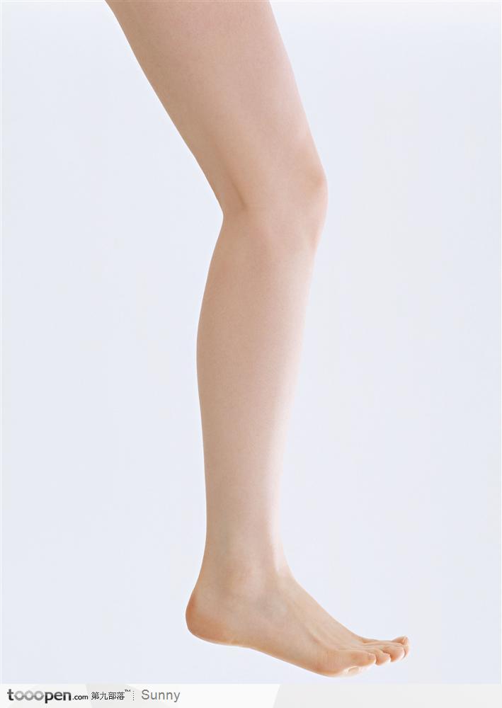 -性感的女性腿部曲线