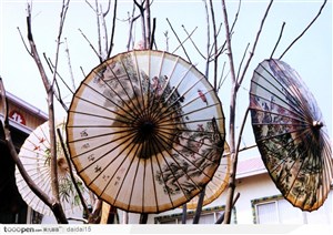 中国传统工艺品-晾晒的纸油伞
