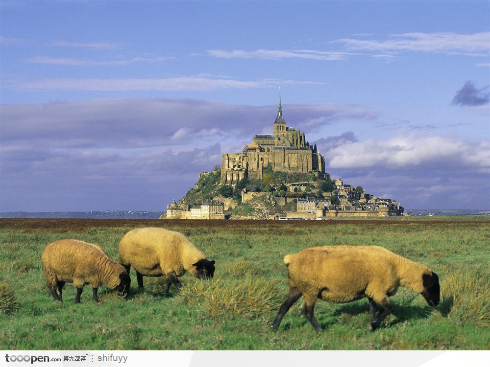 城堡与草地上的绵羊