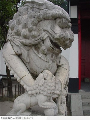 中华传统母狮子与小狮子