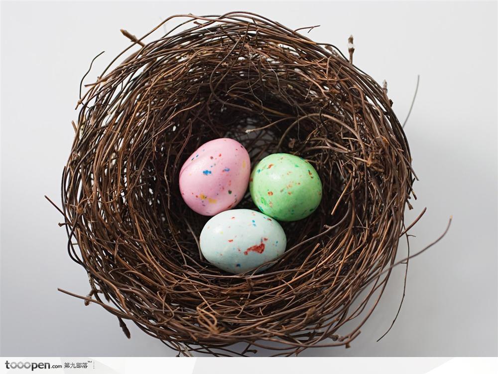 鸟巢里的三色复活节彩蛋