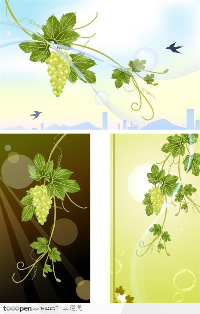 葡萄藤矢量素材
