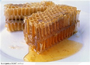 蜂巢与蜂蜜