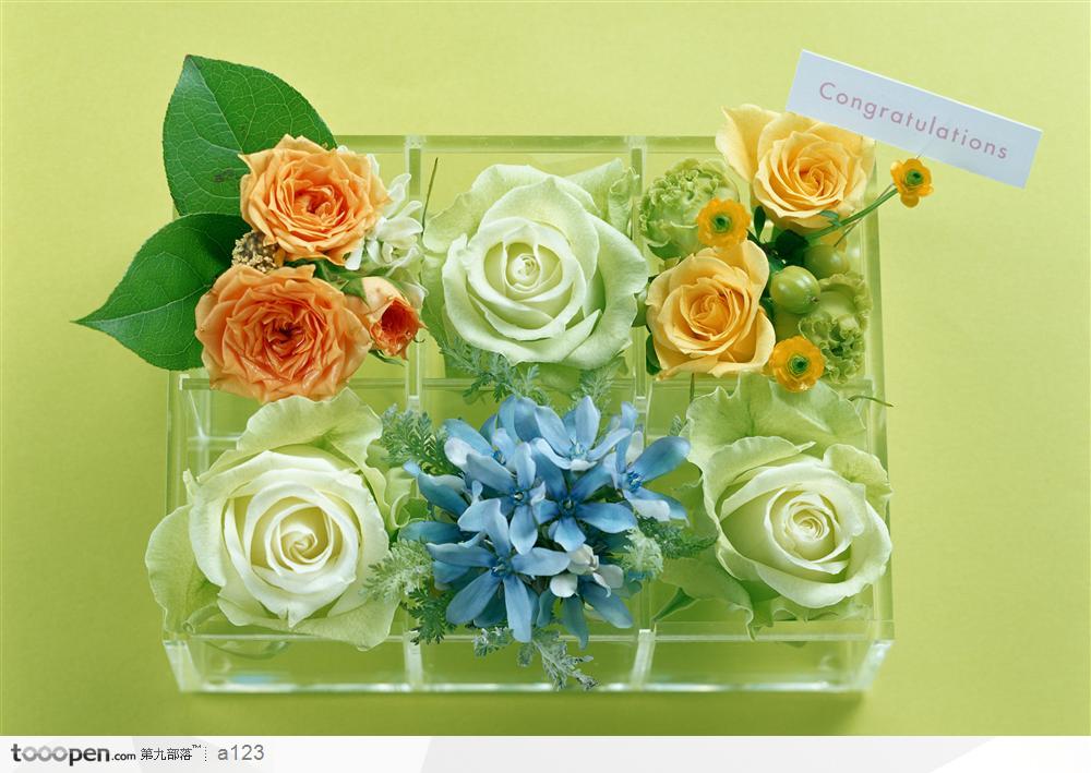 一片素雅清透在礼盒--花卉礼盒