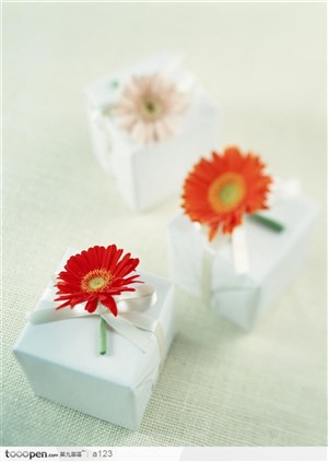 花卉礼盒-7