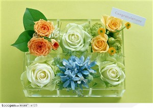 一片素雅清透在礼盒--花卉礼盒