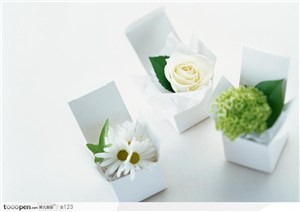 花卉礼盒-5