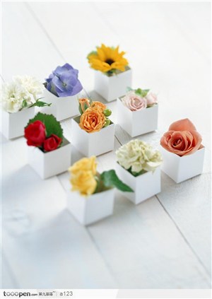 花卉礼盒