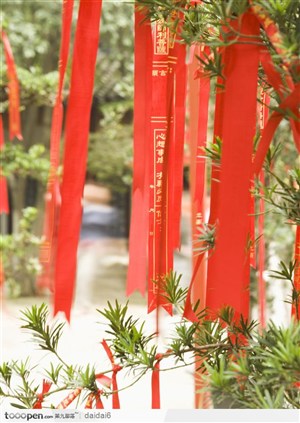 香港人文风情-树上的红丝带