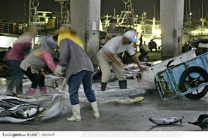 台湾生命力-正在搬鱼的渔农