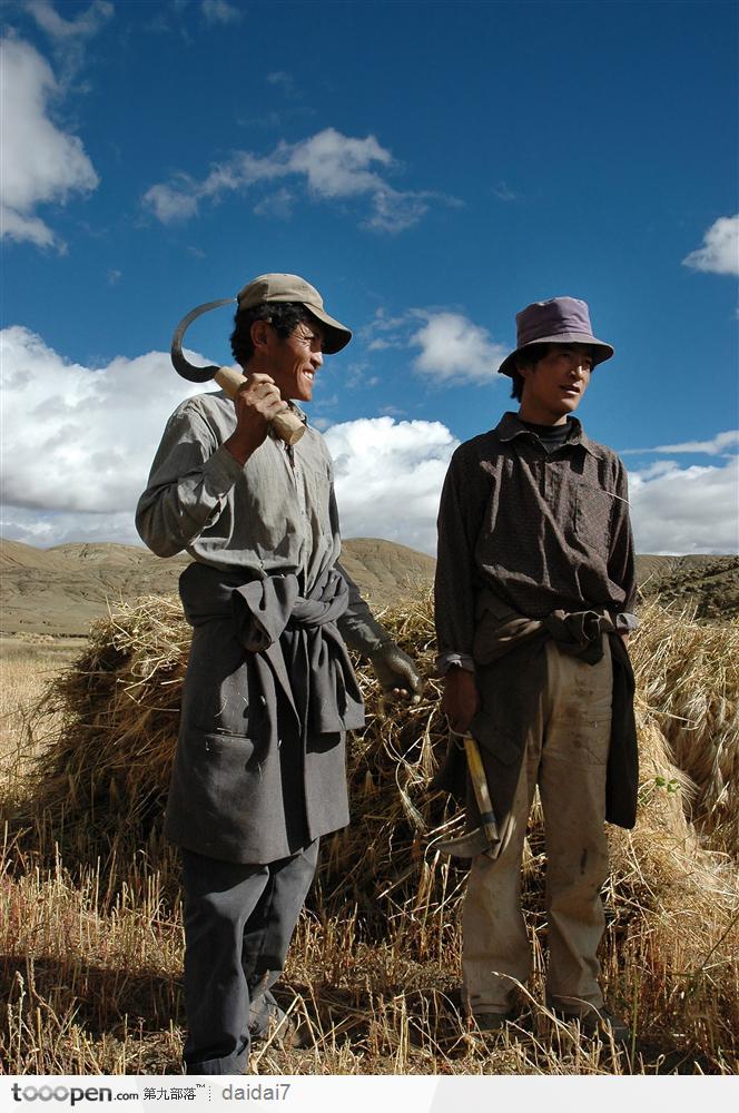 西藏人文风情-收获青稞的藏民