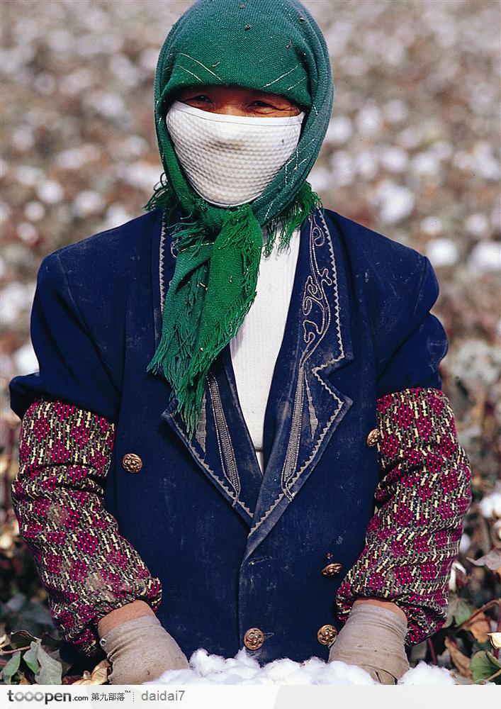 西藏风情-采摘棉花的妇女