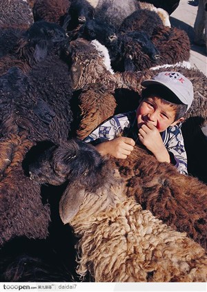 西藏人文风光-绵羊中的男孩