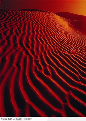西藏人文风光-夕阳下金色的沙漠