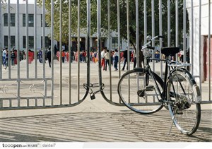 市井生活-校门口的自行车