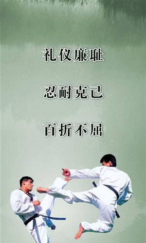 跆拳道打斗的艺术海报