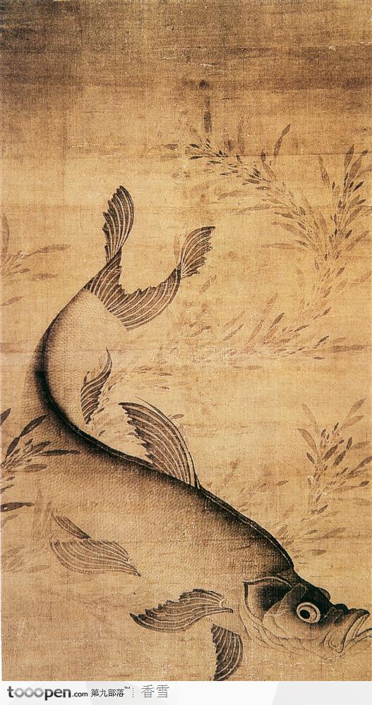 花鸟篇-水草中的鱼