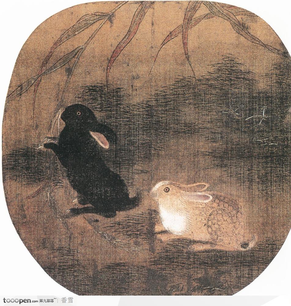 花鸟篇-白兔与黑兔