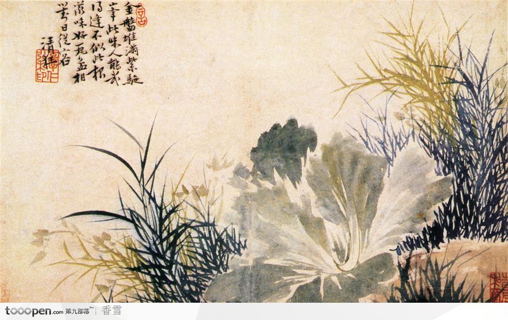 花鸟篇-植物