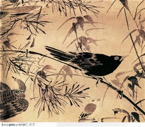 花鸟篇-松竹树中的鸟儿
