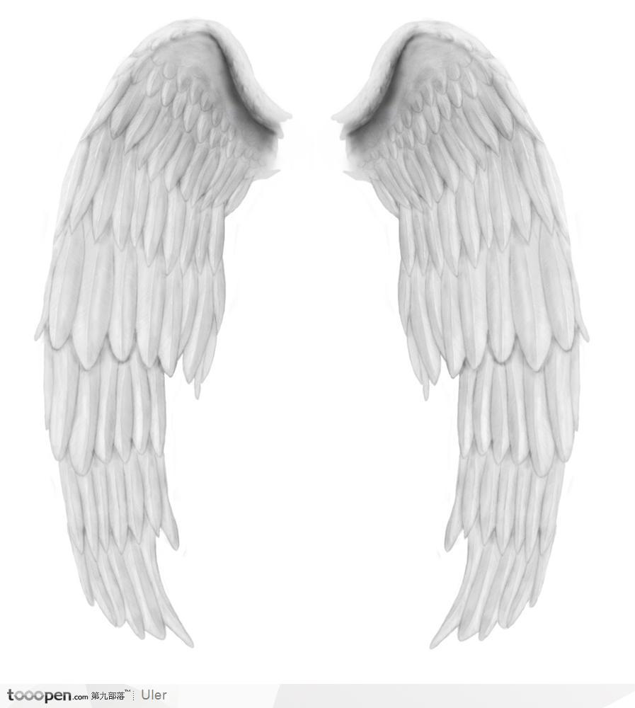 白色展开的翅膀 PSD