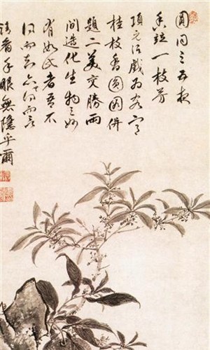 花鸟篇-桔子树与桂圆树