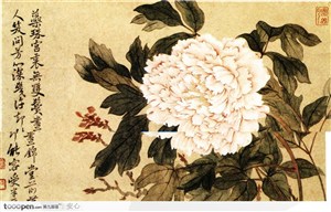 花鸟篇-富贵的牡丹花