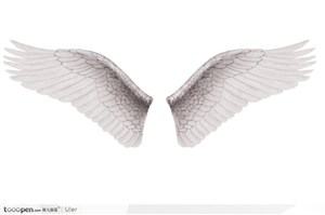 白色展开的翅膀