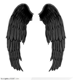 黑色展开的翅膀 PSD
