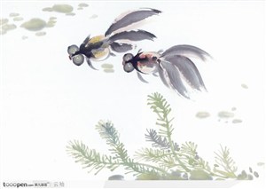 水族世界-两条金鱼墨画
