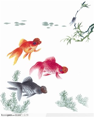 水族世界-含着食物的三条小金鱼
